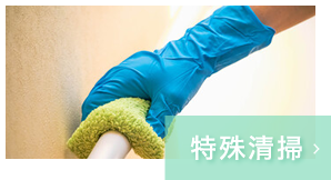 特殊清掃