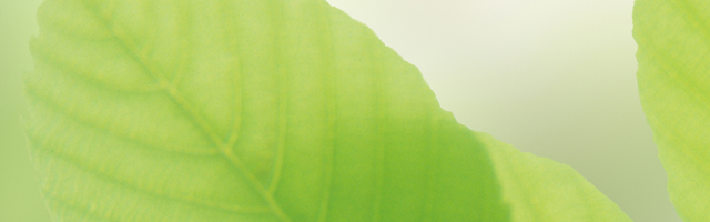 よくあるご質問