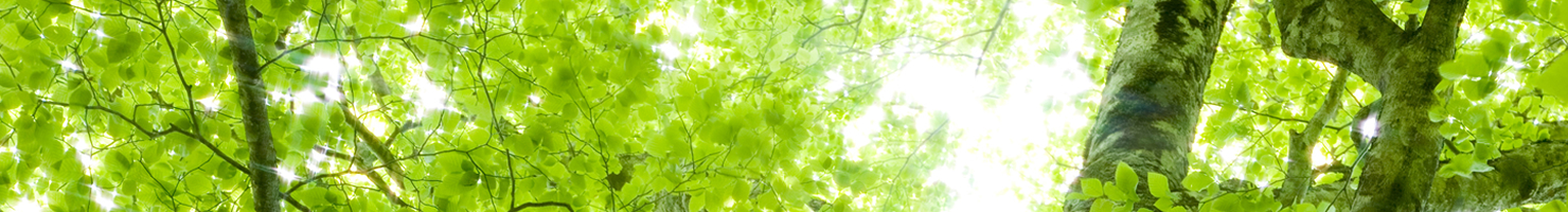 オゾン除菌・消臭サービス