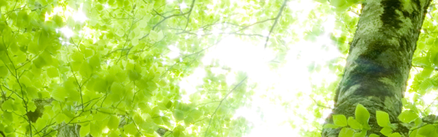 オゾン除菌・消臭サービス