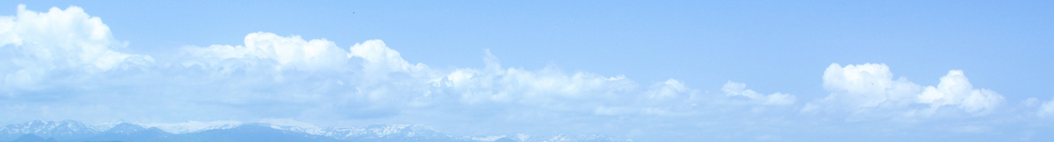 不用品買取・輸出