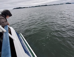 直葬散骨の様子