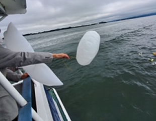 直葬散骨の様子