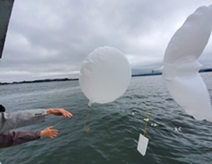 直葬散骨の様子