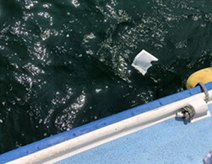 代行散骨の様子