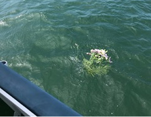 海洋散骨の様子