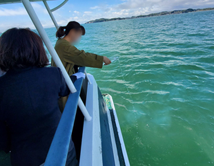 海洋散骨の様子