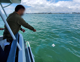 海洋散骨の様子