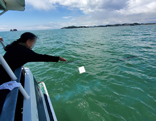 海洋散骨の様子