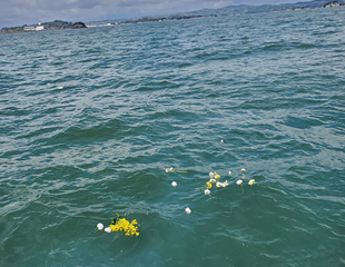 海洋散骨の様子