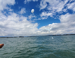 海洋散骨の様子